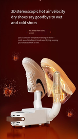 Shoe Sterilizer & Dryer